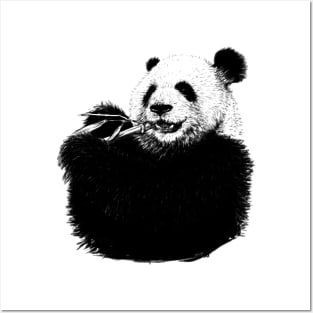 panda Posters and Art